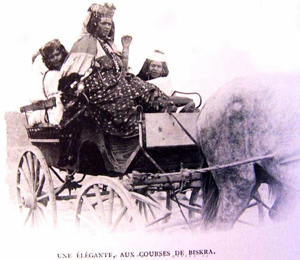 Images d'Algerie 029.jpg